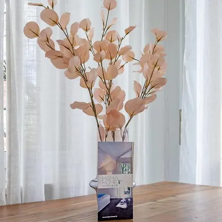 Lindenrain Apartment